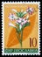 Stamp printed in Yugoslavia shows cultivated tobacco