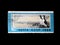 Stamp of the USSR about the image of penguins, the name a bird`s market, a bird of the North Pole, the press on the image, old pri