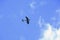 Stampe biplane performing aerobatics in the sky