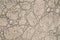 Stamped concrete pavement, boulders stones pattern, flooring exterior, decorative gray cement paving
