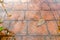 stamped concrete pavement, slate stone tile on cement stones pattern