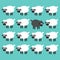 Stand out from the crowd concept. Black sheep between white sheep illustration.
