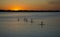 Stand up paddle on Rio Tocantins, during sunset, in Carolina, Maranhao, Brazil.