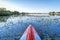 Stand up paddleboard on a calm overgrown lake, paddler POV