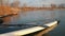 Stand up paddleboard with a paddle on a lake shore