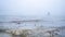 Stand up paddler on a foggy lake