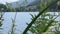 stand up paddlers on lake in Carinthia