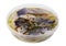 The standard round plastic container with marinated  salty  fillet of  Norwegian herring fish with spices isolated macro