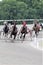 Standardbred racing