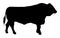 Standing adult bull vector silhouette illustration isolated on white background.