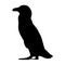 Standing African Penguin Silhouette Vector Style