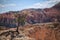 Standing alone in Bryce Canyon