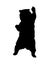 Standing bear silhouette