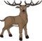 Standing Beautiful Horn Deer Color Illustration