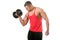 Standing Bicep Dumbbell Curl