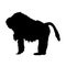 Standing Big Baboon, Papio, Africa And Western Arabia