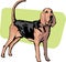 Standing bloodhound breed dog