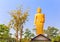 Standing buddha on the roof in nature