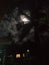 Standing of a coconut tree cover the lightning moon under the dark surroundings