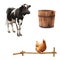 Standing cow, old wooden bucket, red chicken