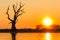 Standing dead tree and Sunset , Amarapura in Myanmar (Burmar)