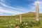 Standing deer stones in on a Mongolian hill