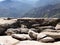 Standing at the edge of Moro Rock overlooking snowy mountains and valleys - Sequoia National Park