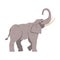 Standing Elephant as Large African Animal with Trunk, Tusks, Ear Flaps and Massive Legs Side View Vector Illustration