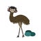 Standing Emu with eggs animal cartoon character vector illustration