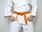 Standing fighter orange belt centered martial arts