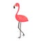 Standing Flamingo animal cartoon character vector illustration