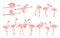 Standing and flying cute pale pink flamingo clipart