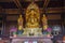 Standing in front of a Buddha statue in the Giant Wild Goose Pagoda