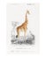 Standing giraffe vintage illustration wall art print and poster design remix from original artwork