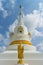 Standing gold buddha statue with the white pagoda