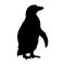 Standing Humboldt Penguin Spheniscus Humboldti On a Side View Silhouette Found In Map Of South American