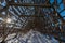 Standing inside giant wooden racks with tons of cod fish hanging in open sea air to dry and become skrei on the Lofoten islands in