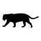 Standing Jaguar Panthera Onca On a Side View Silhouette Found In Map Of America. Good To Use For Element Print Book, Animal Book