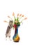 Standing kitten with tulips in a vase