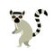 Standing Lemur animal cartoon character vector illustration