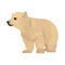 Standing little furry polar Arctic polar bear cub