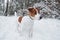 Standing and looking where to go. Close up portrait of cute dog that have a walk ourdoors in the winter time