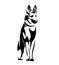 Standing malinois shepherd dog black and white vector outline