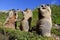 Standing marmots in the mountains eat with their paws