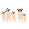 Standing Meerkat family group animal cartoon character vector illustration