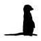 Standing Meerkat Suricata suricatta On a Side View Silhouette Found In Map Of Africa. Good To Use For Element Print Book