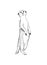 Standing meerkat surikat. Vector illustration