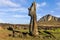 Standing moai near Ahu Tongariki, Easter Island, Chile