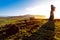 Standing moai at sunrise in Easter Island