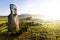 Standing moai in sunshine in Easter Island